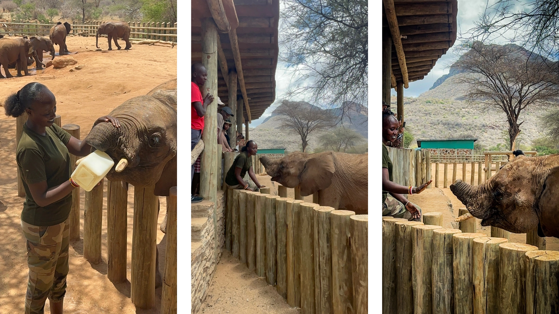 Feeding baby elephants at Reteti Elephant Sanctuary