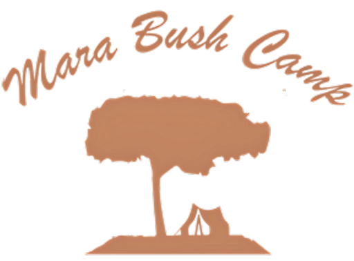 Soroi Mara Bush Camp Logo Caracal Coral