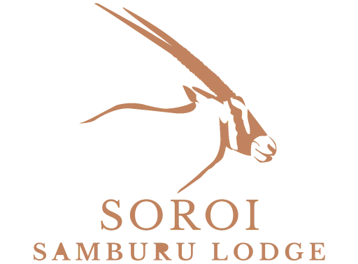 Soroi Mara Bush Camp Logo Caracal Coral